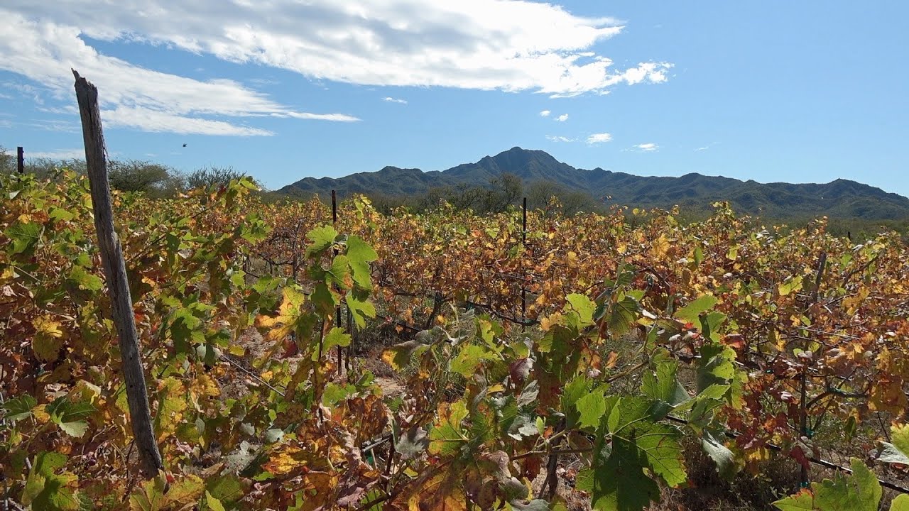 Rancho LaVenta, film by Thierry Damilano