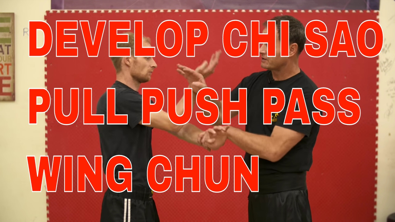 Developing Chi Sao: Pull Push Pass + 13 Basic Techniques Pt 2 Drill