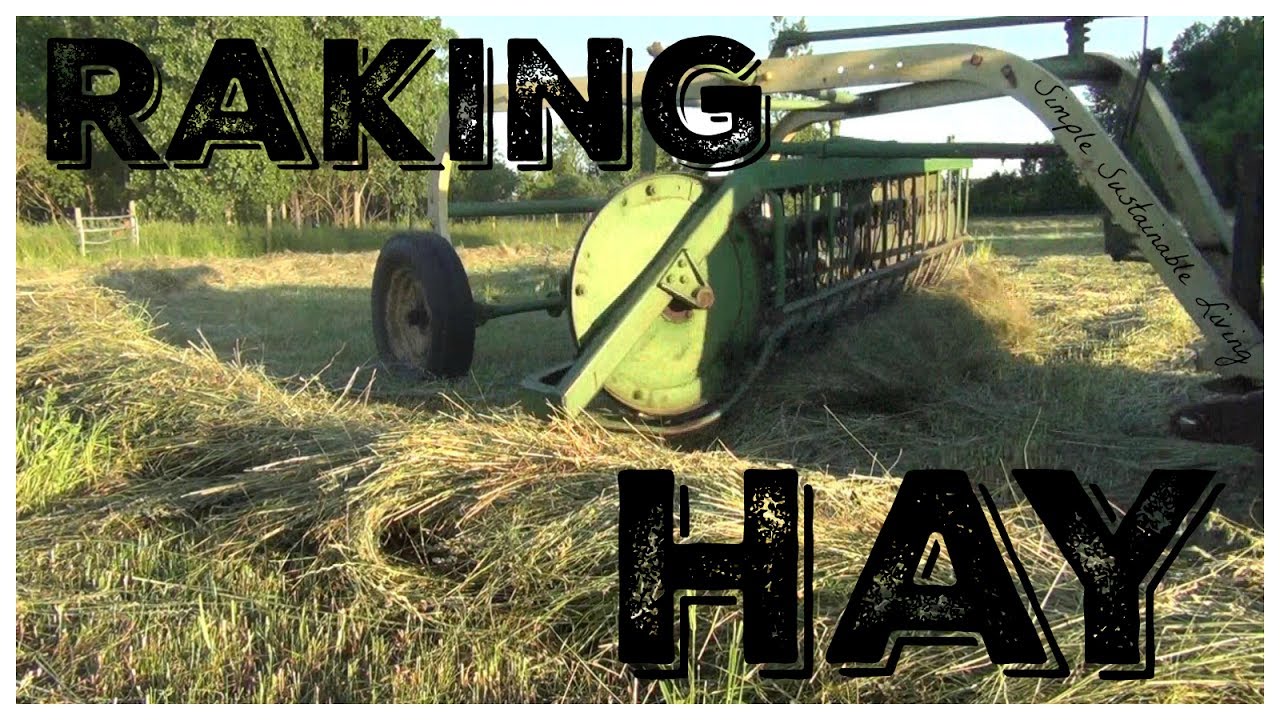 Raking and Drying Hay