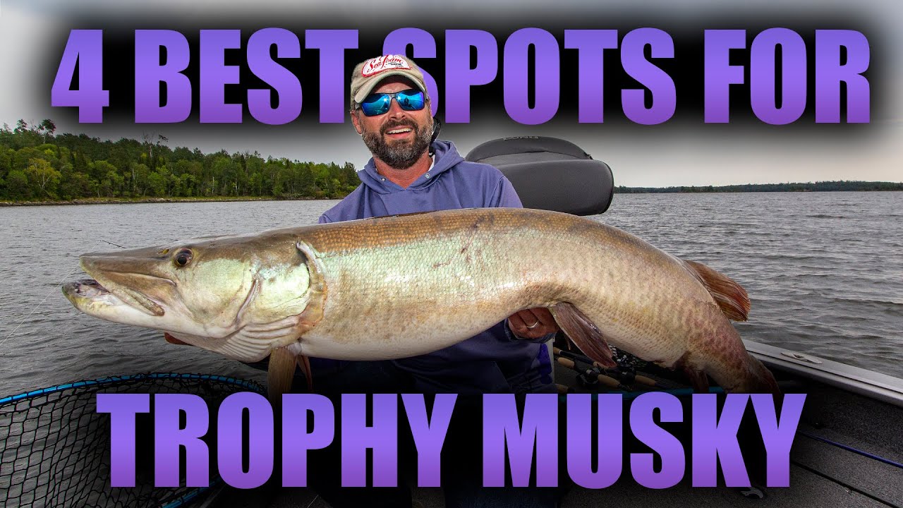 4 of the Best Musky Spots: Musky Locations