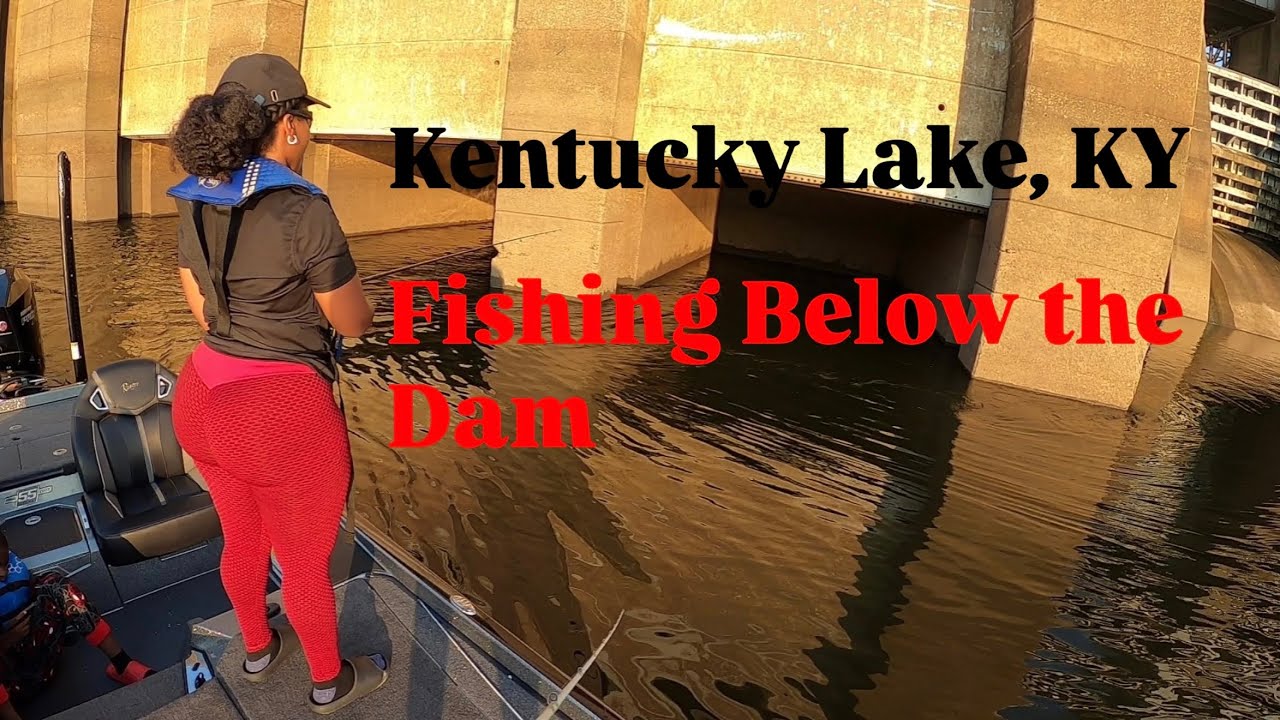 Multiple Species Action Below the Kentucky Dam || Tailrace Below Kentucky Dam 