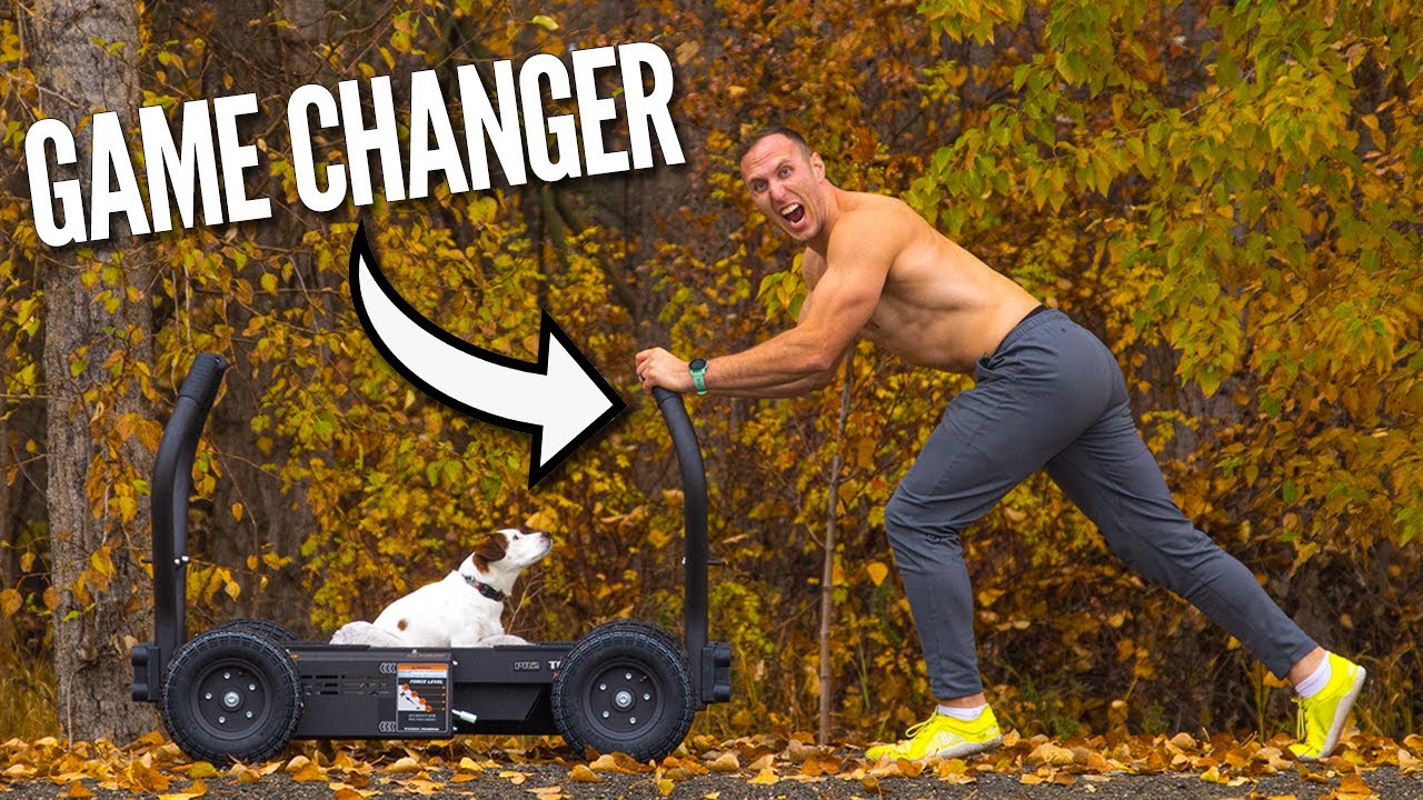 The Best Sled Ever? Torque TANK M4 Sled Review