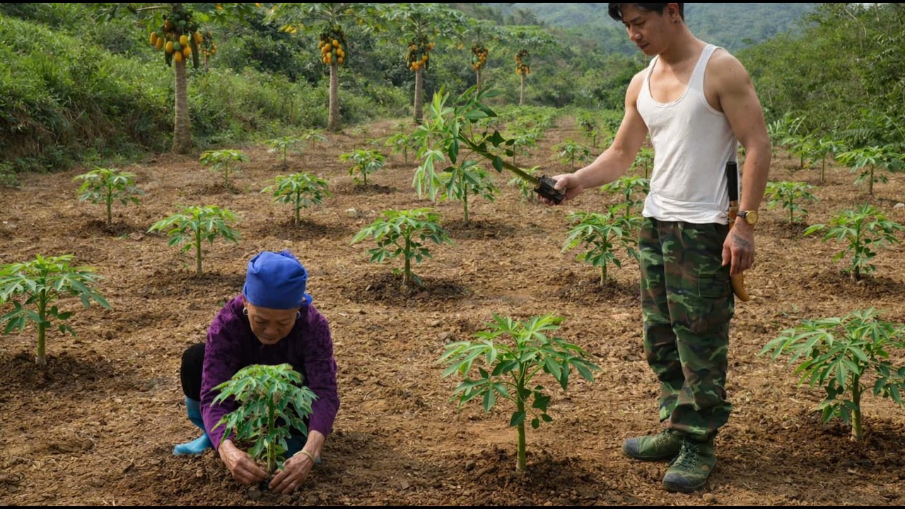 Grandma and Trieu Khang plant hope for a bountiful year