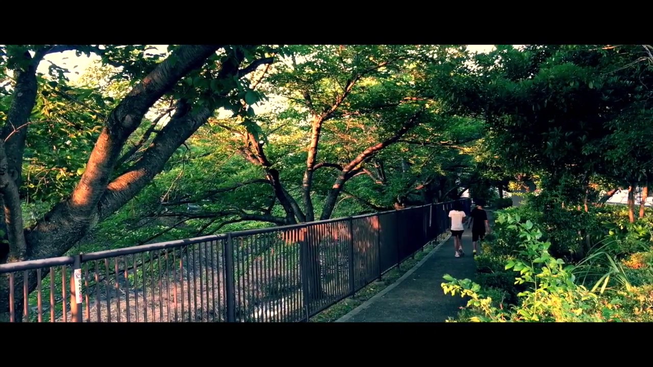 Radwimps   Yumetourou (夢灯籠) MV (Fan Made)