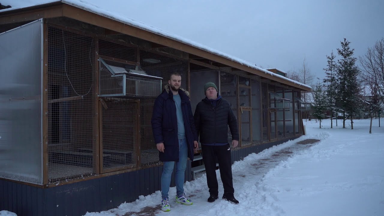 Pabich Krzysztof - 0274 Piotrków Trybunalski | Super-Mistrz Okręgu Piotrków Trybunalski 2019
