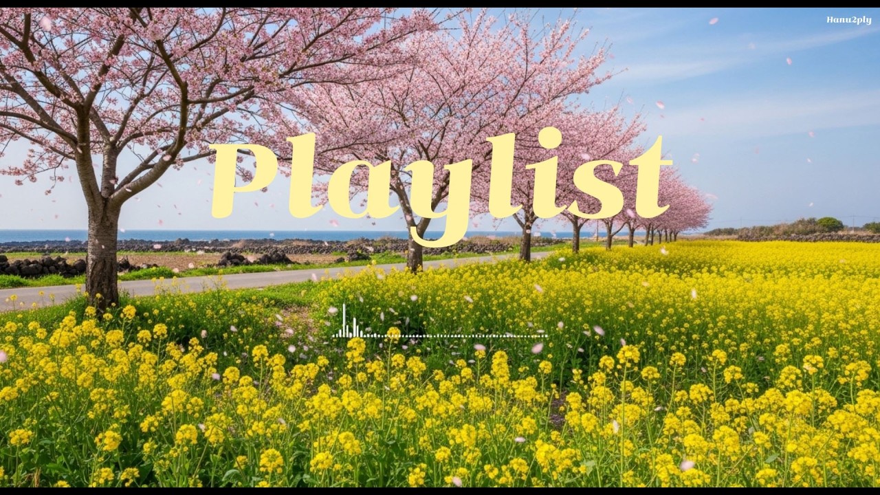 [Playlist]  🎵 일단 들어보세요｜🌸봄에 어울리는 카페 감성 팝송☕ 공부할 때 듣기 좋은 음악
