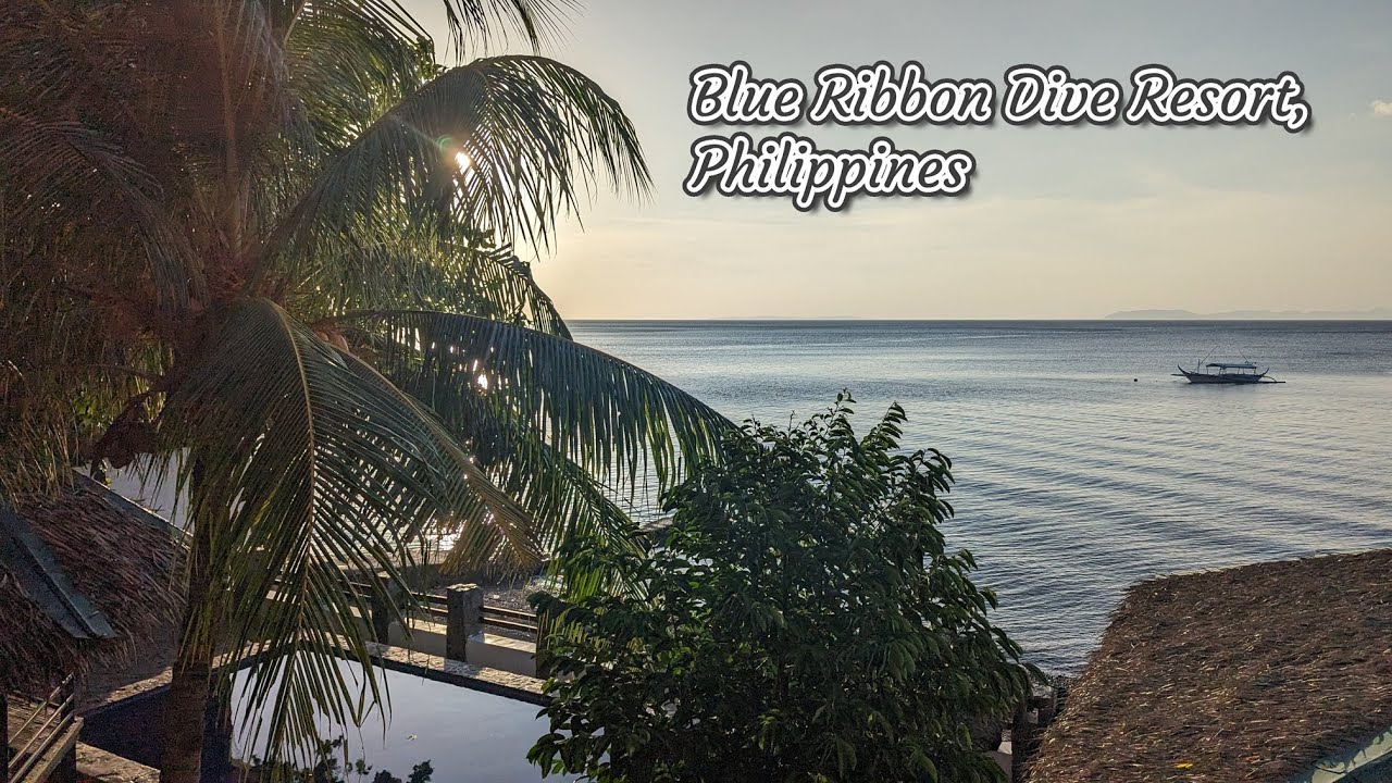 Batangas, Philippines - Blue Ribbon Dive Resort