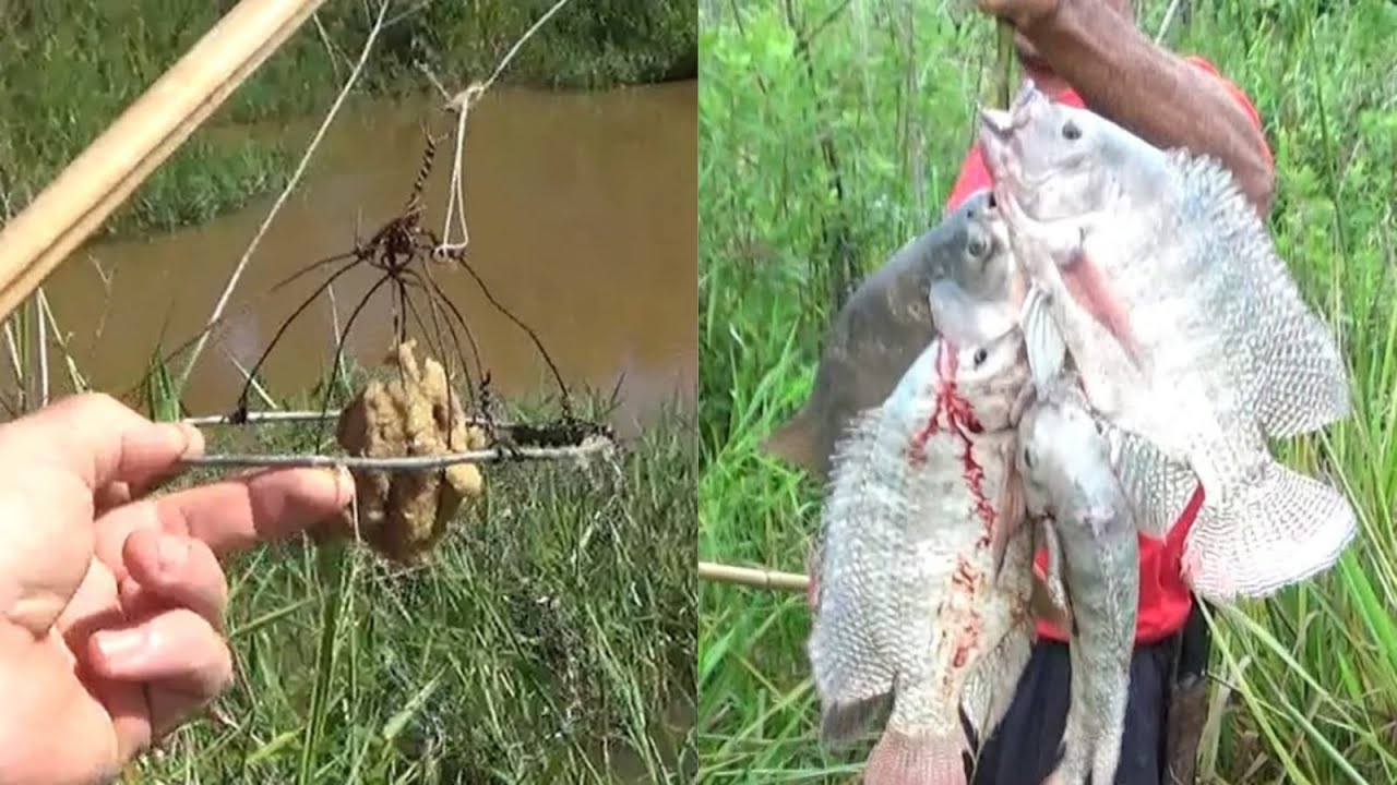 Quando o corrego transborda é só usar isso que pega muito peixe grande