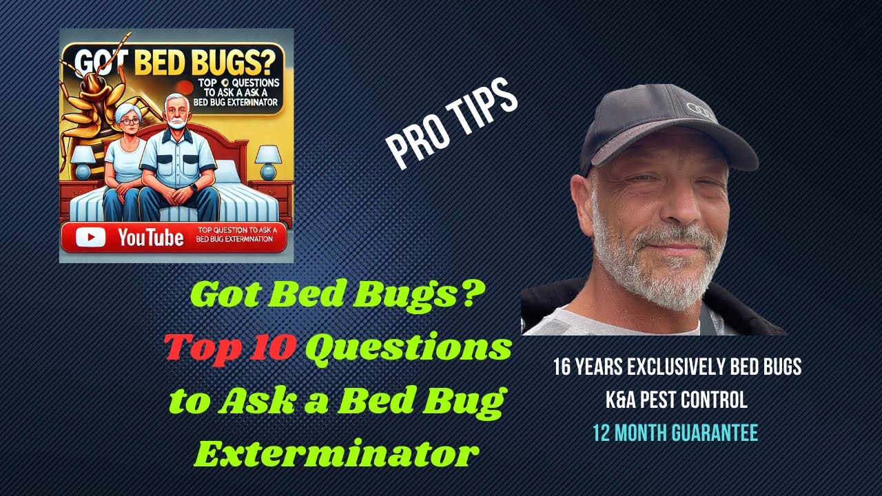 Want Bed Bugs Gone ? Must Ask 10 Questions
