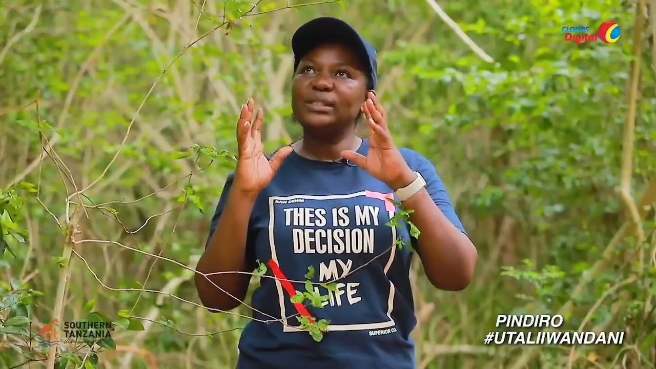 TAZAMA MAAJABU 7 YA HIFADHI MSITU WA ASILI PINDIRO KILWA