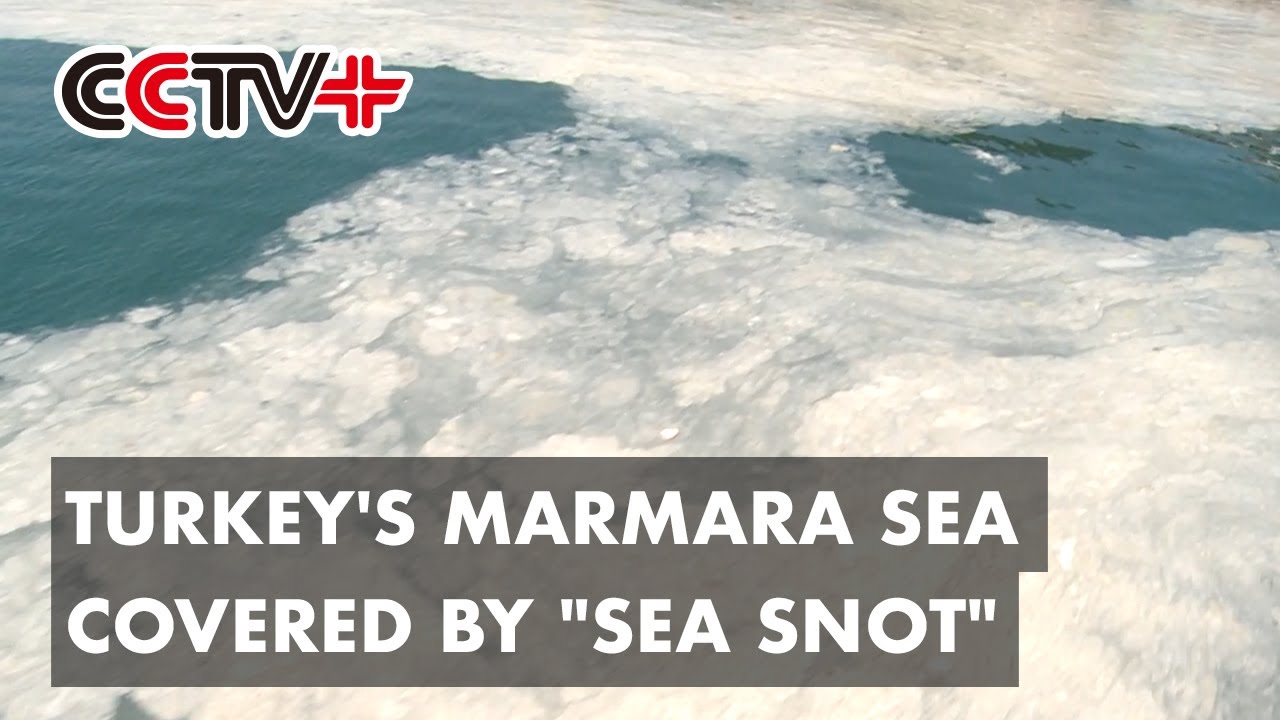 Turkey's Marmara Sea Covered by 