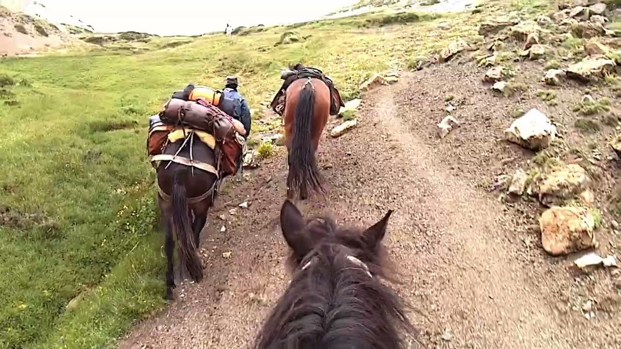 JINETES DE MONTAÑA