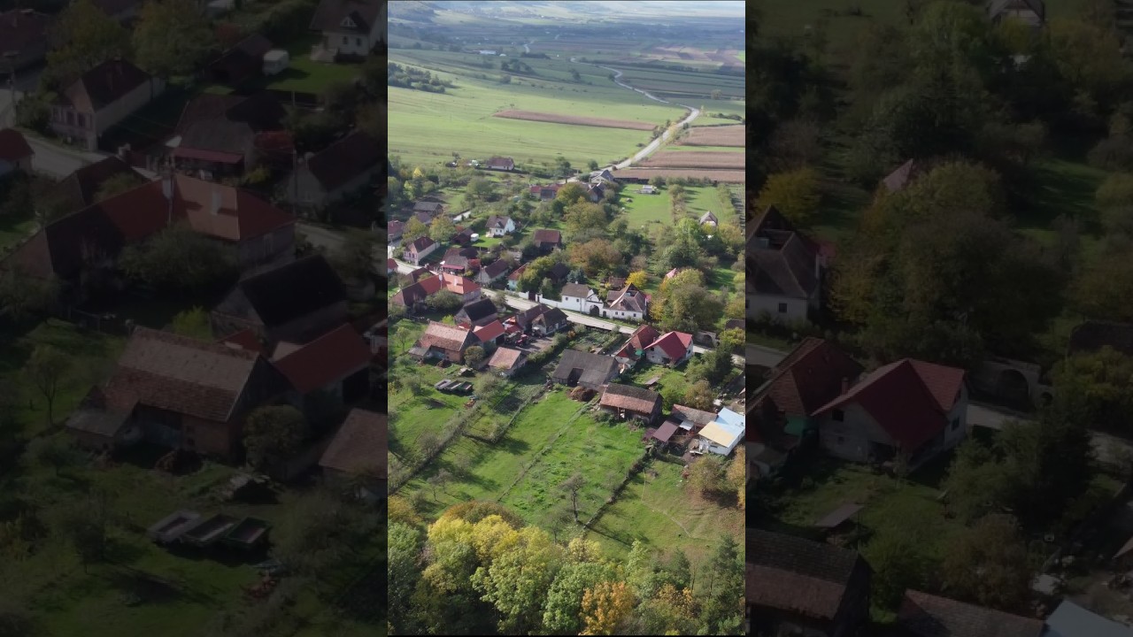 this is transsylvania