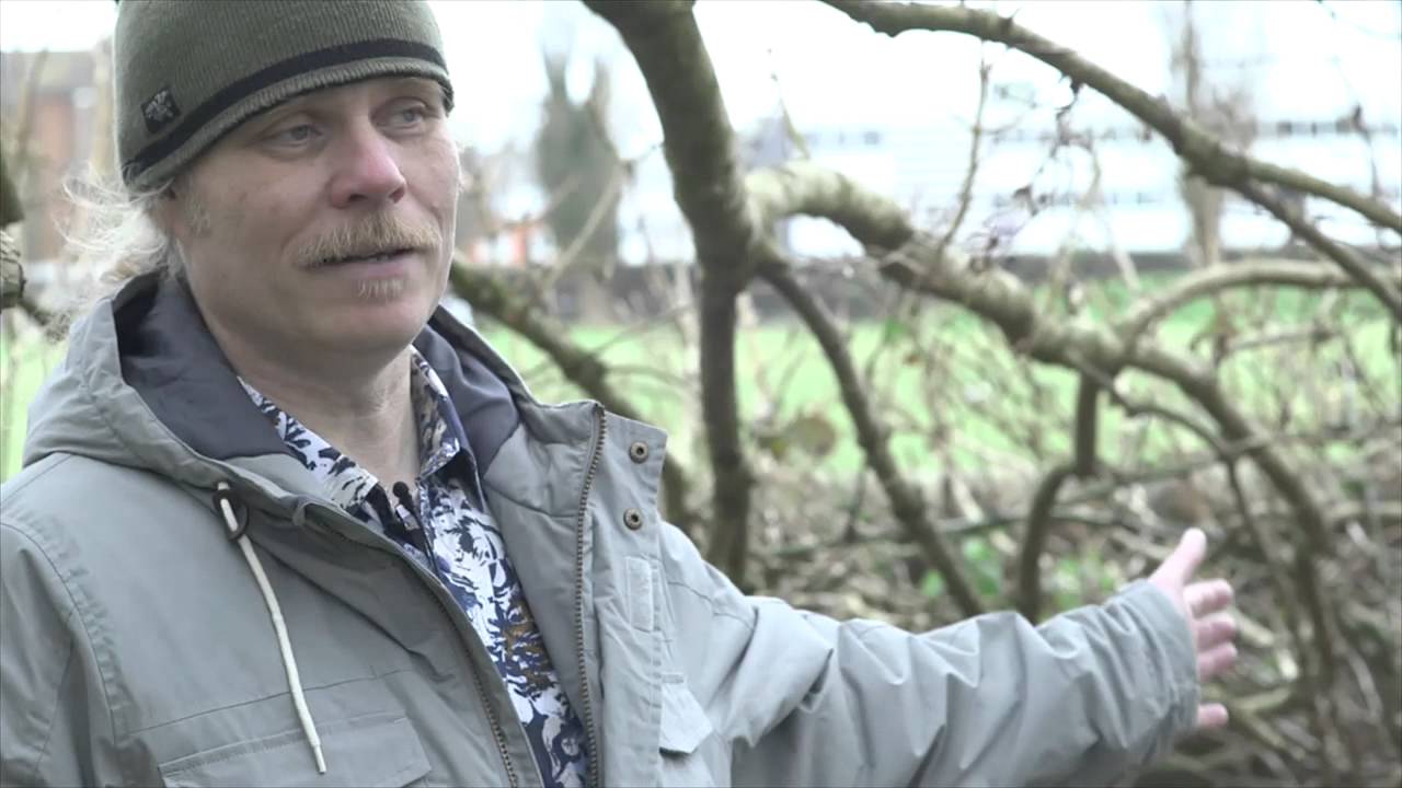 Keep Milton Green (Documentary)