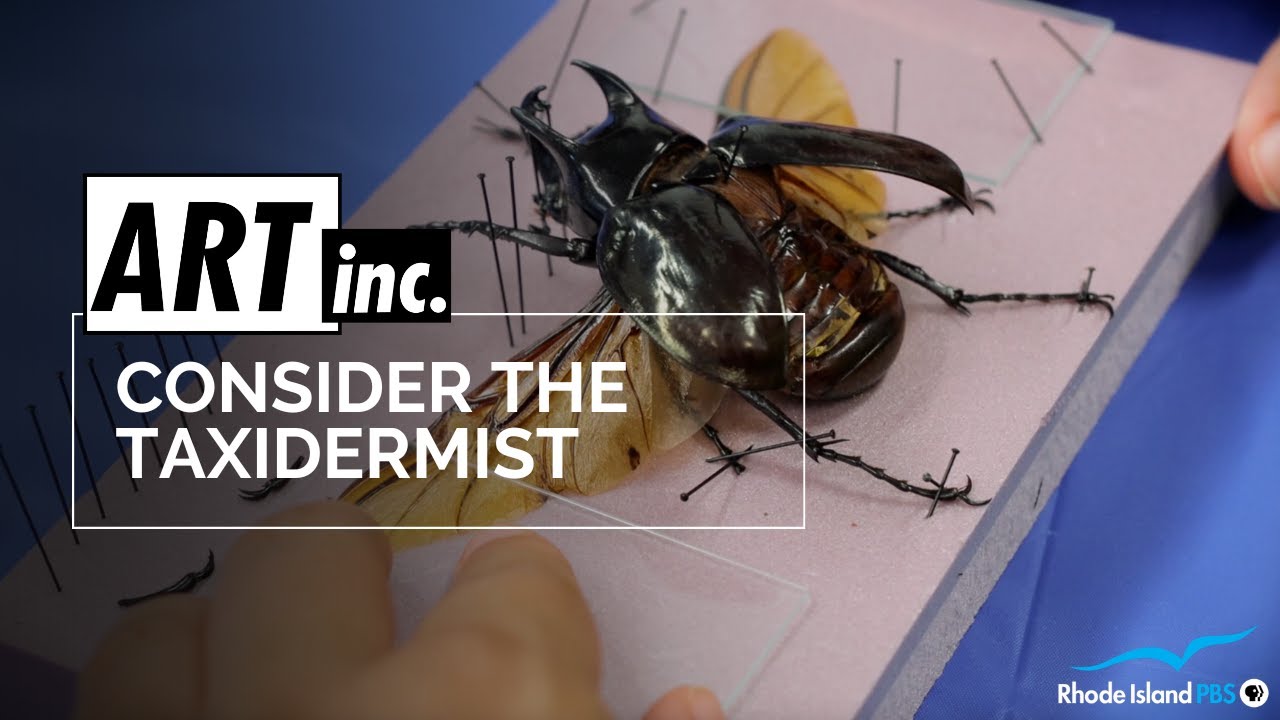 Consider the Taxidermist | ART inc