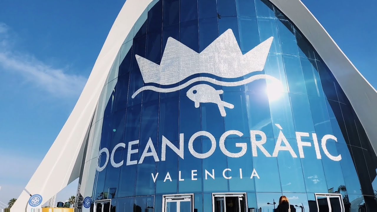 How to see L'Oceanografic in Valencia
