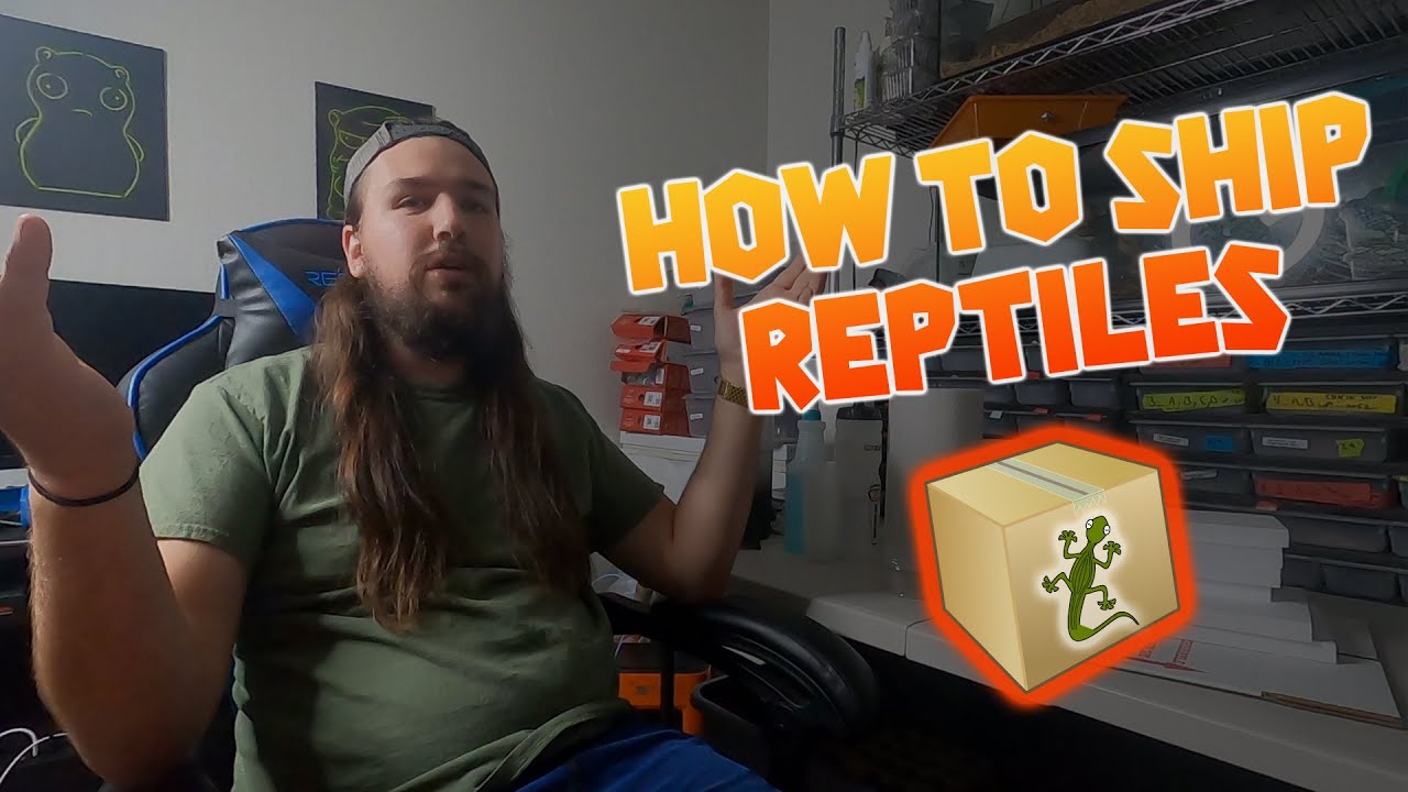 How Do You Ship Reptiles?