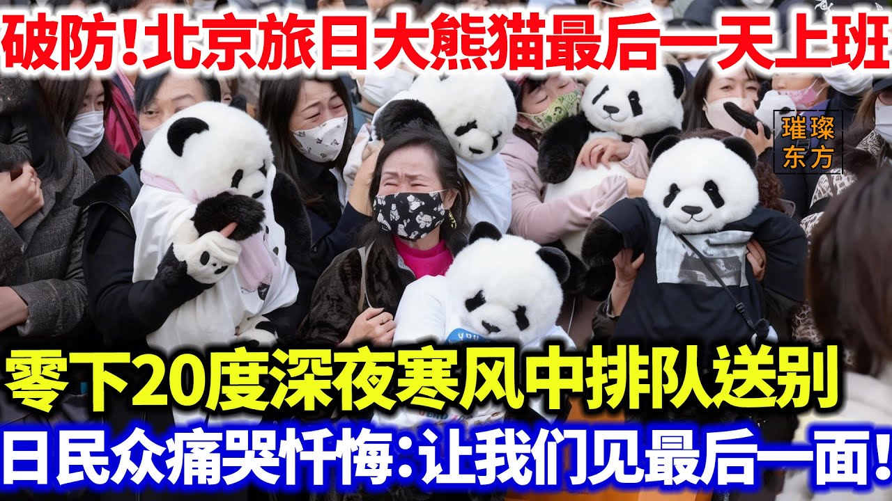 破防！北京旅日大熊猫最后一天上班零下20度深夜寒风中排队送别日本民众痛哭忏悔：让我们见它最后一面！#璀璨东方 #科普 #大熊猫 #日本 #动物园