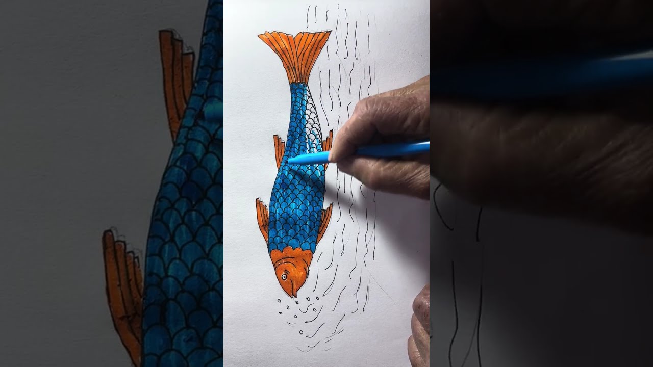 Colour a Fish.
