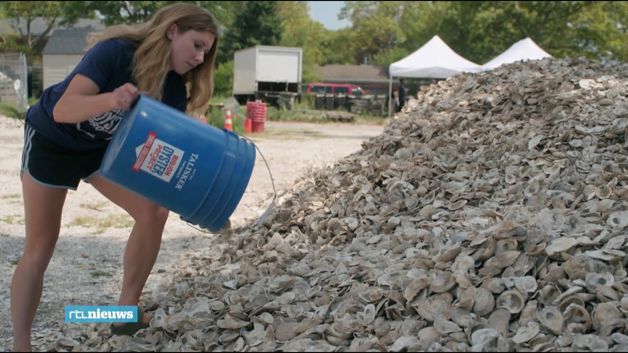 Oesters eten om New York te beschermen
