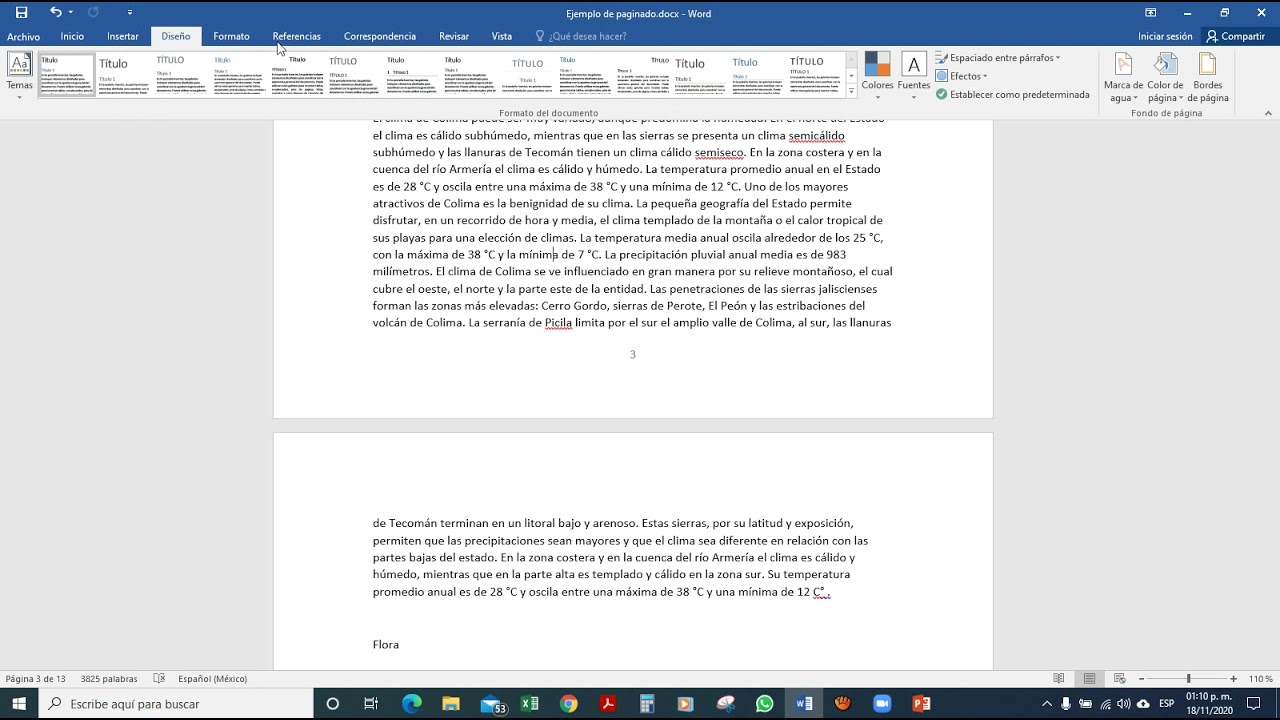 Paginado en Word