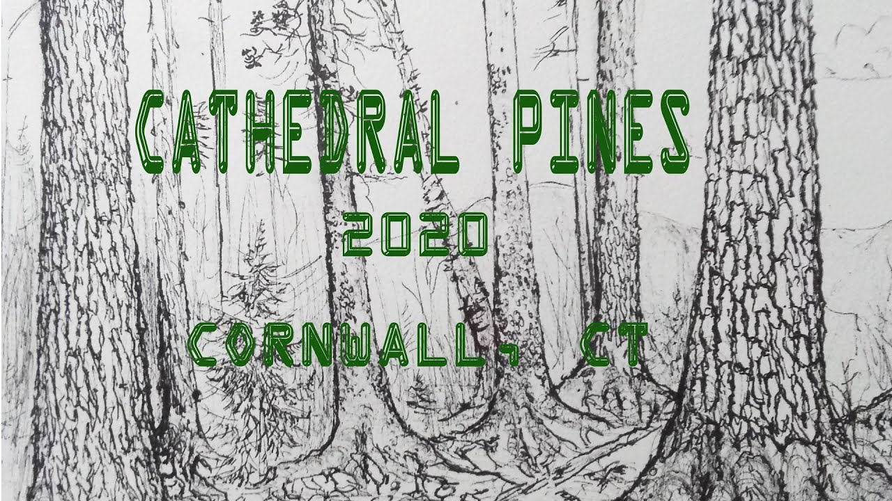 The Cathedral Pines of Cornwall, CT - 2020