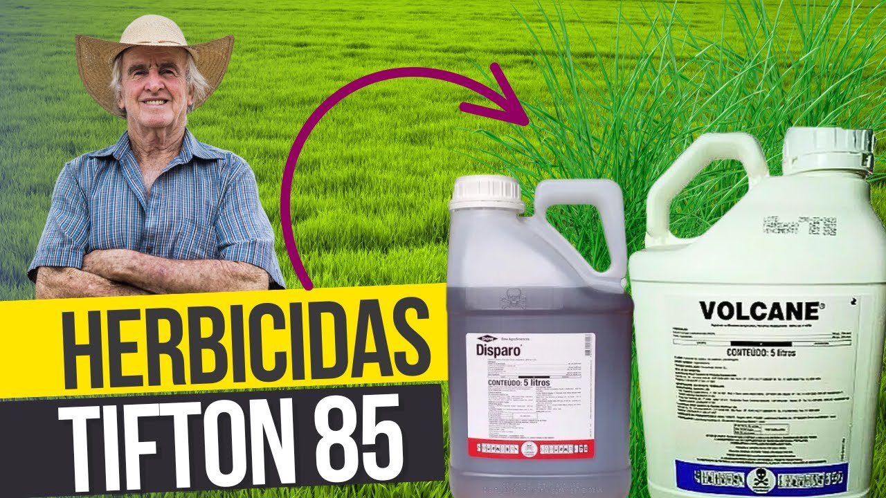 PRODUTOS PARA RESOLVER OS PROBLEMAS DO TIFTON 85 | Barato e f&aacute;cil de achar em qualquer lugar