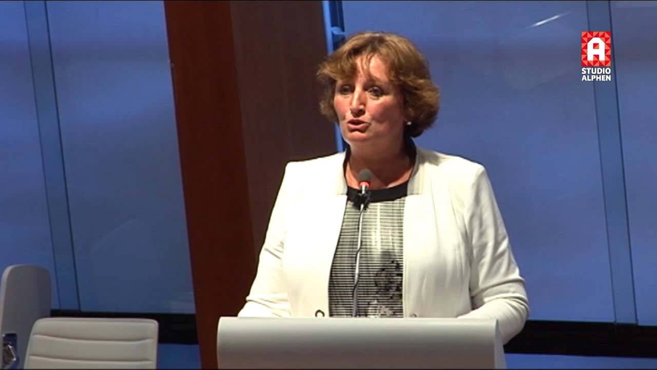 Debat rapport Koningin Julianabrug: wat doet college met aanbevelingen naar toekomst toe?