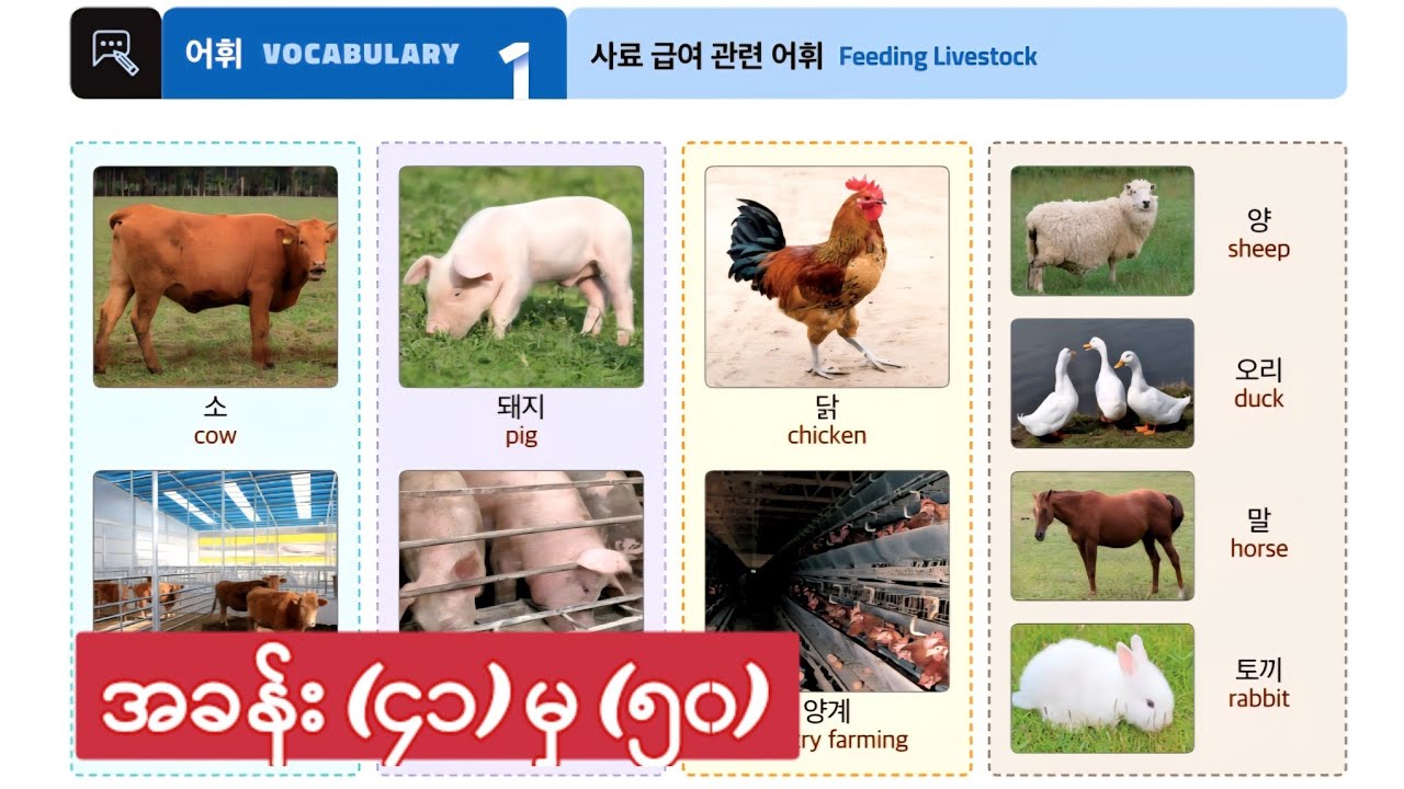 New EPS-TOPIK မီးနင်း အခန်း (41~50)