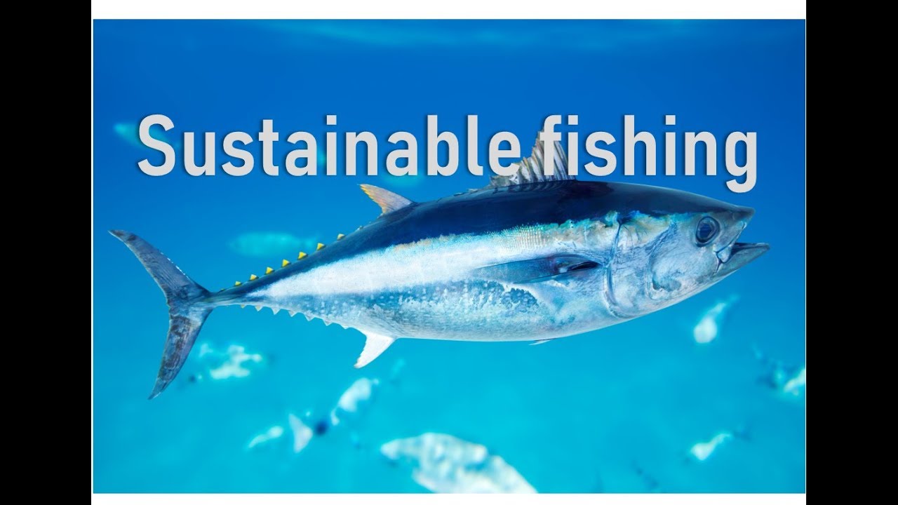 Sustainable fishing