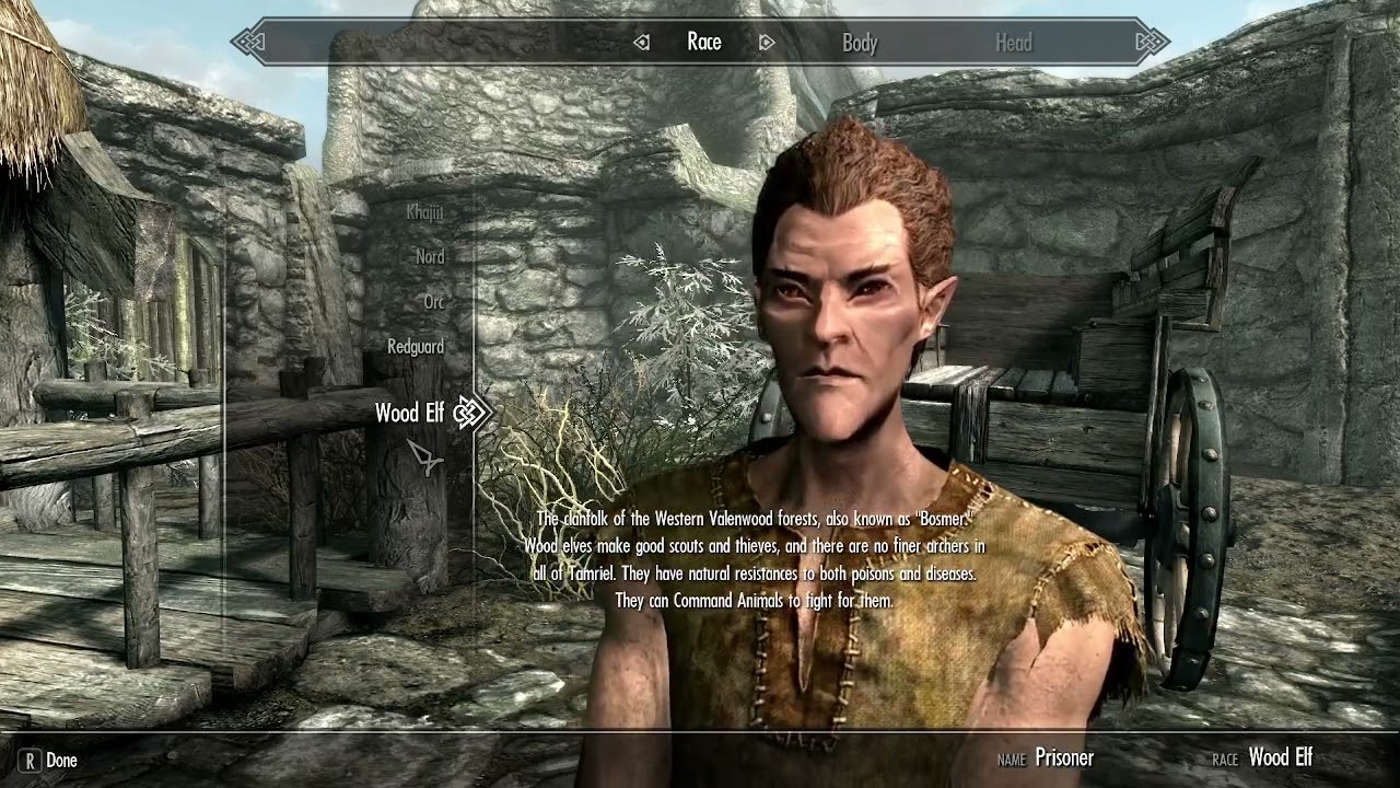play skyrim video 1