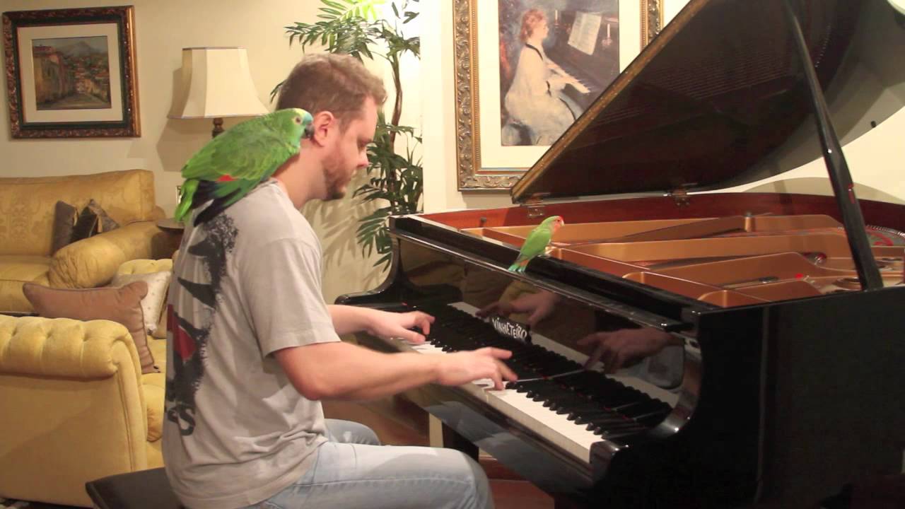 Angry Birds on Piano