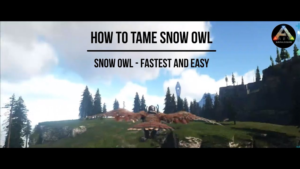 How to tame Snow Owl (Easy & Fastest Way) - NEWBIE GUIDE
