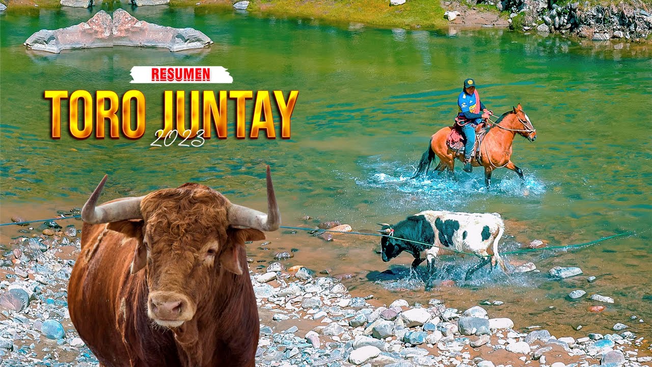 Toro Juntay  Pampamarca Aymaraes Apurimac - RESUMEN 2023