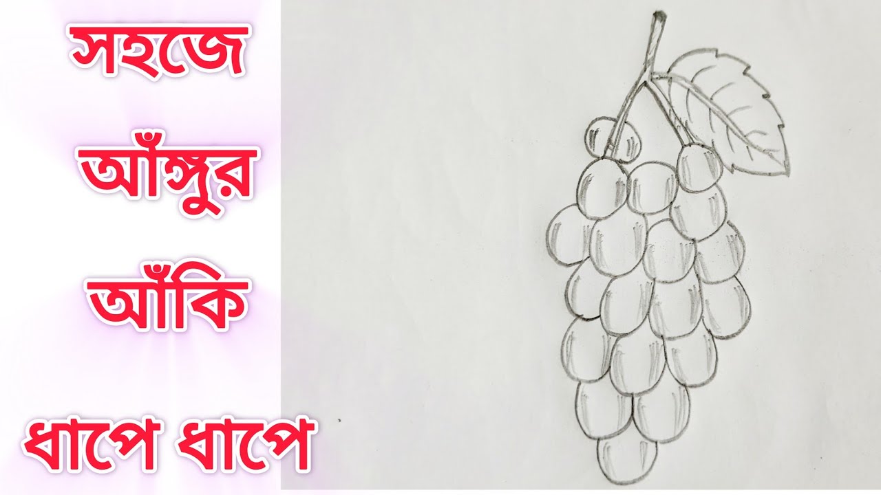 সহজে আঙ্গুর আঁকি ধাপে ধাপে | How to draw Grapes easy way| #চারুকলা 