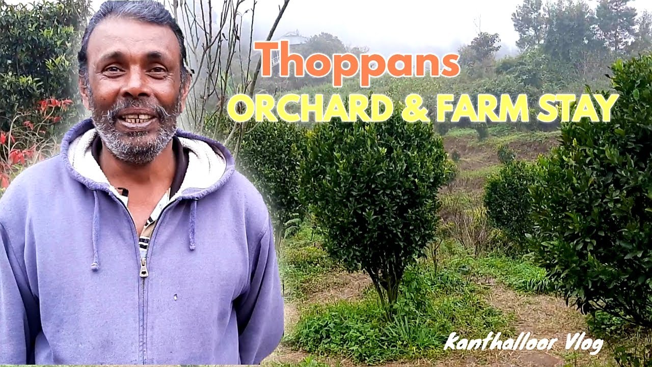 Kanthalloor Vlog // Thoppans Orchard & Farm Stay // Fruits Farm House //