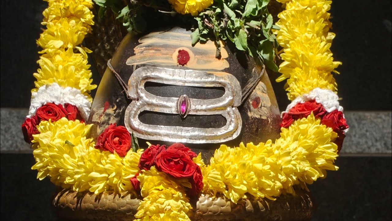 Mana Sanathanam is live 13/02/2026 శివ ప్రదోశ పూజ