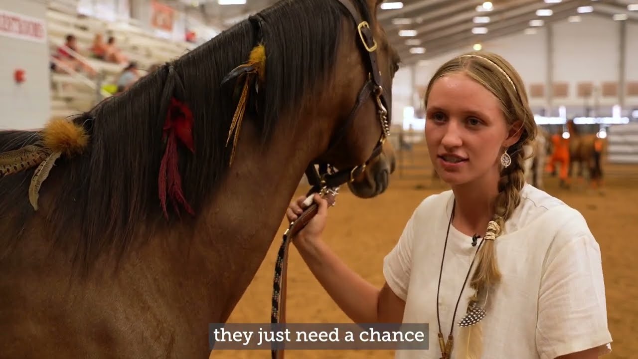 4-H Youth Trainers Help Texas Horses in Transition