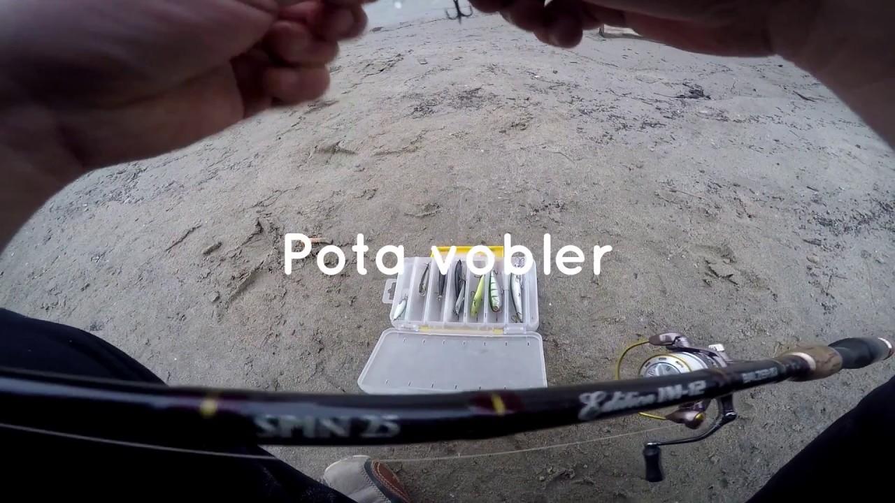 Pota vobler - Asp spin fishing 2018