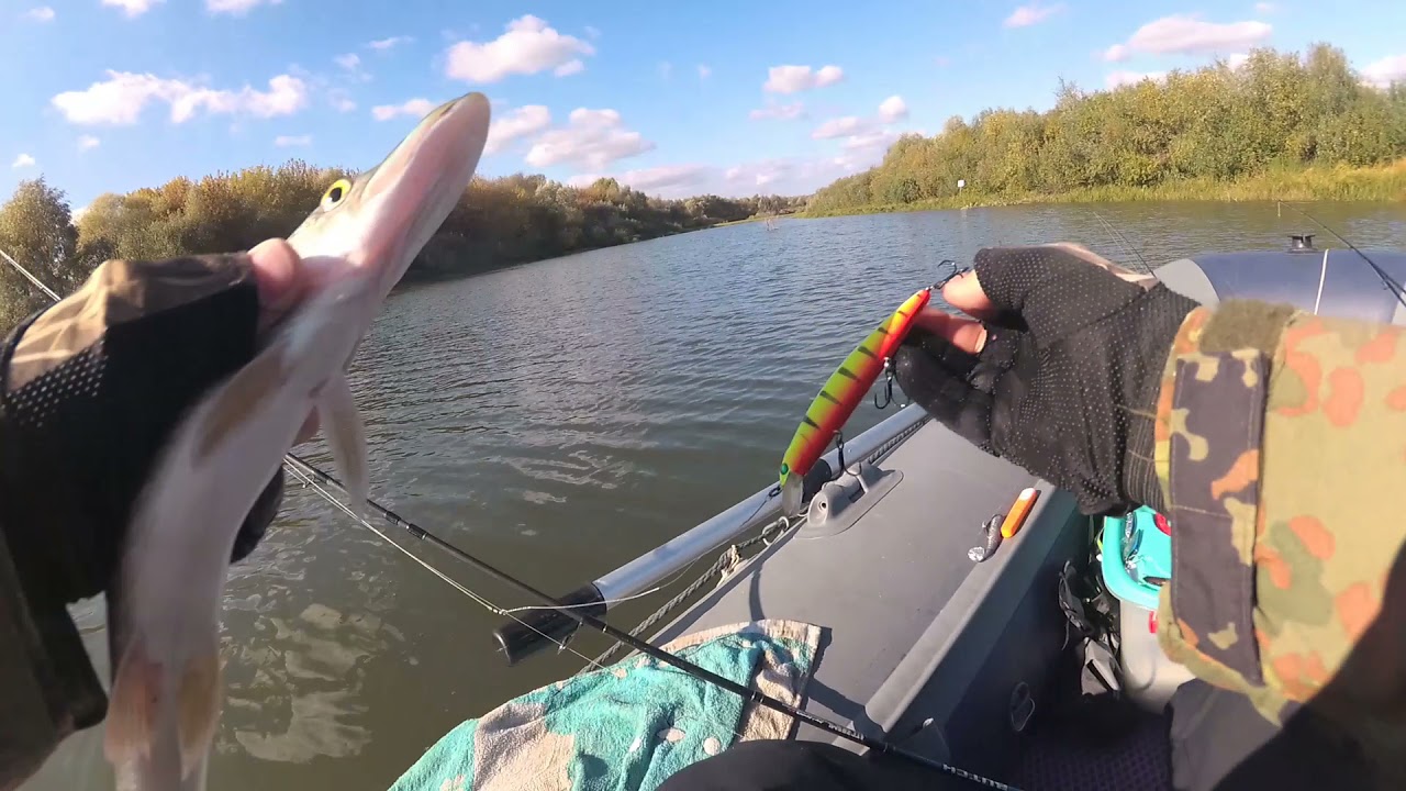 Влияние рыбных котлет на клев!TsuYoki CHANCE 115 SP помог уговорить щуку!DUO Realis 100 ALLBLUE разл