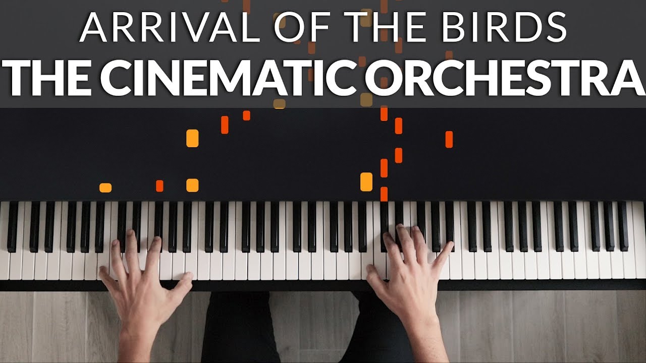 Arrival Of The Birds - The Theory Of Everything (The Cinematic Orchestra) | Tutorial of my Cover
