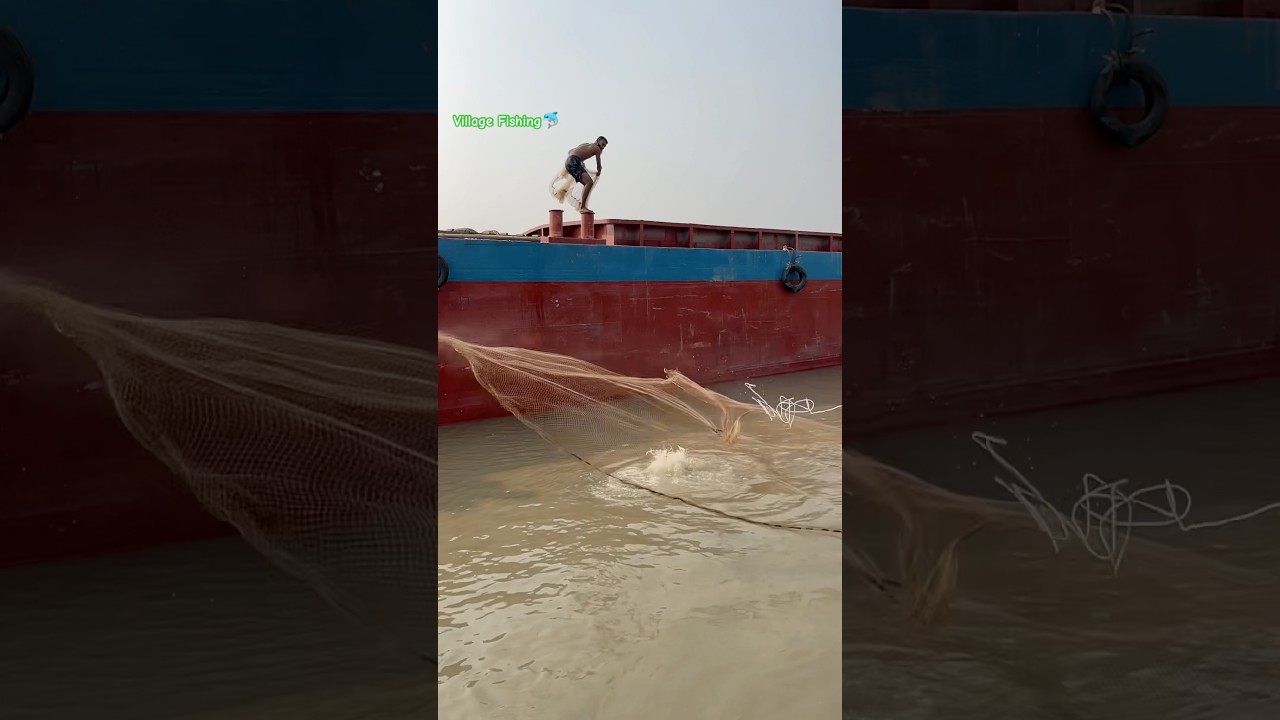 Look what fish they caught.  