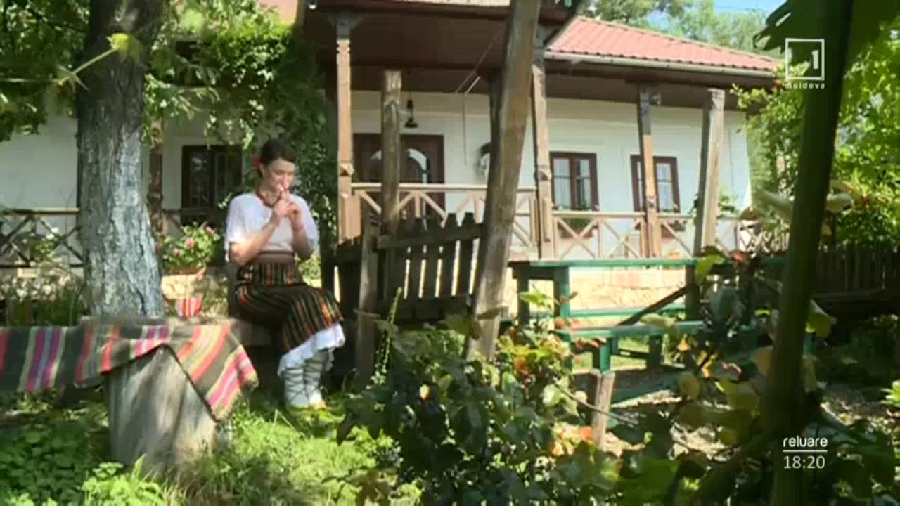 Primăvara cântă cucul - Valentina Harea