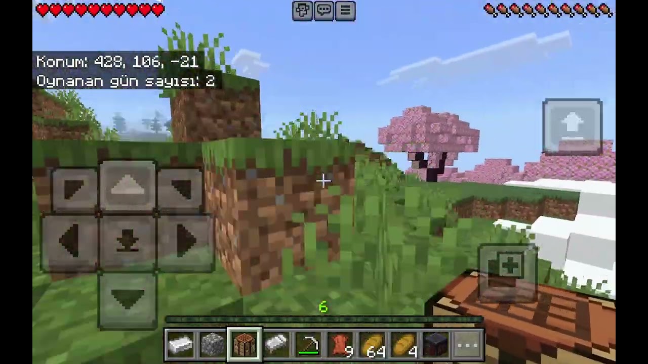 Minecraftt