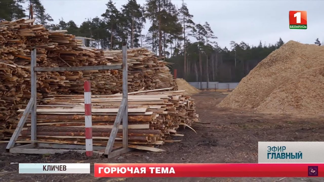 Пеллетное производство: как заработать на переработке древесины? Главный эфир