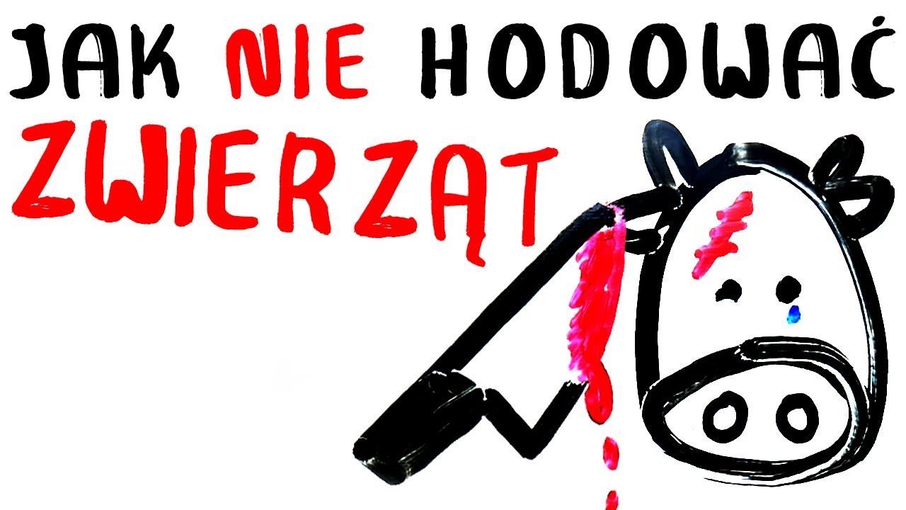 Jak NIE hodować zwierząt? Powszechne praktyki w hodowlach przemysłowych.