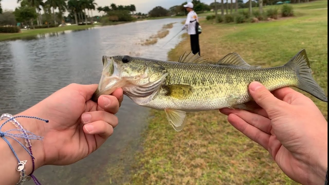 Exploring NEW pond and *FISHING* it!!  &ldquo;ft. FishinFlorida&rdquo;