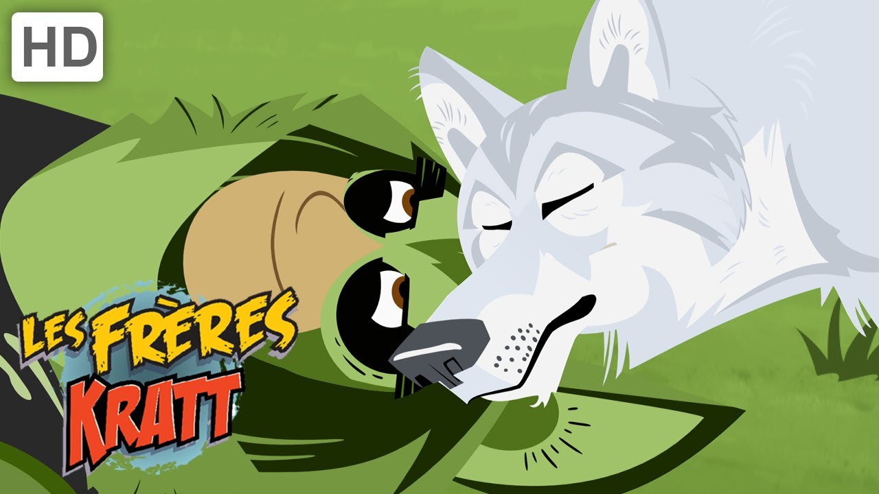 Les Frères Kratt |Cadeau D'Anniversaire De Quillber| Saison 1