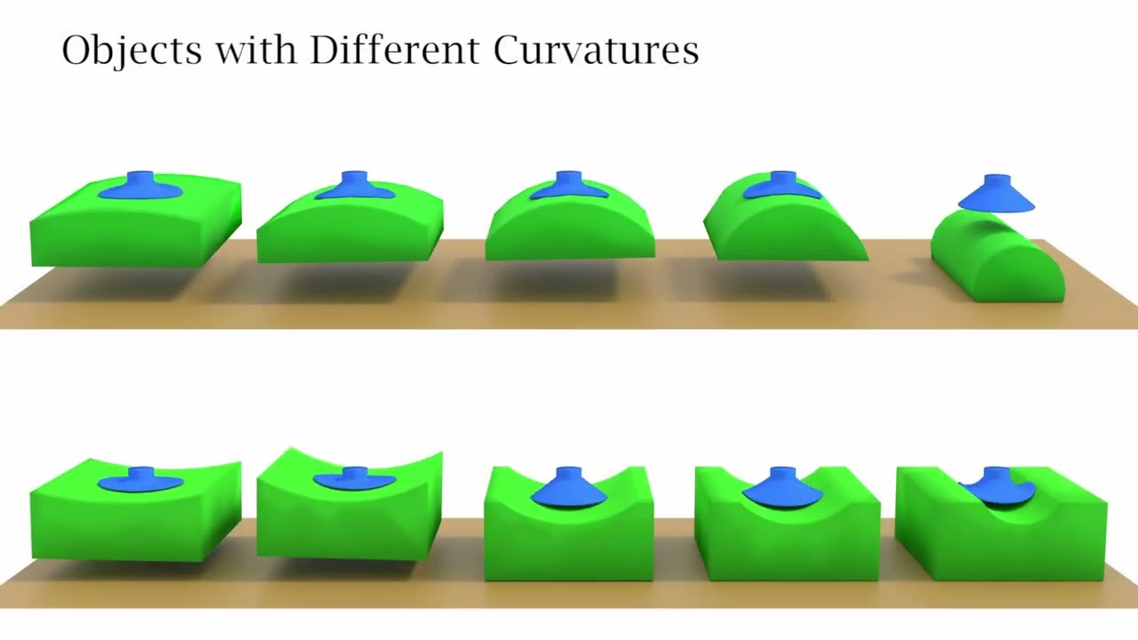 Constraint-based Simulation of Passive Suction Cups