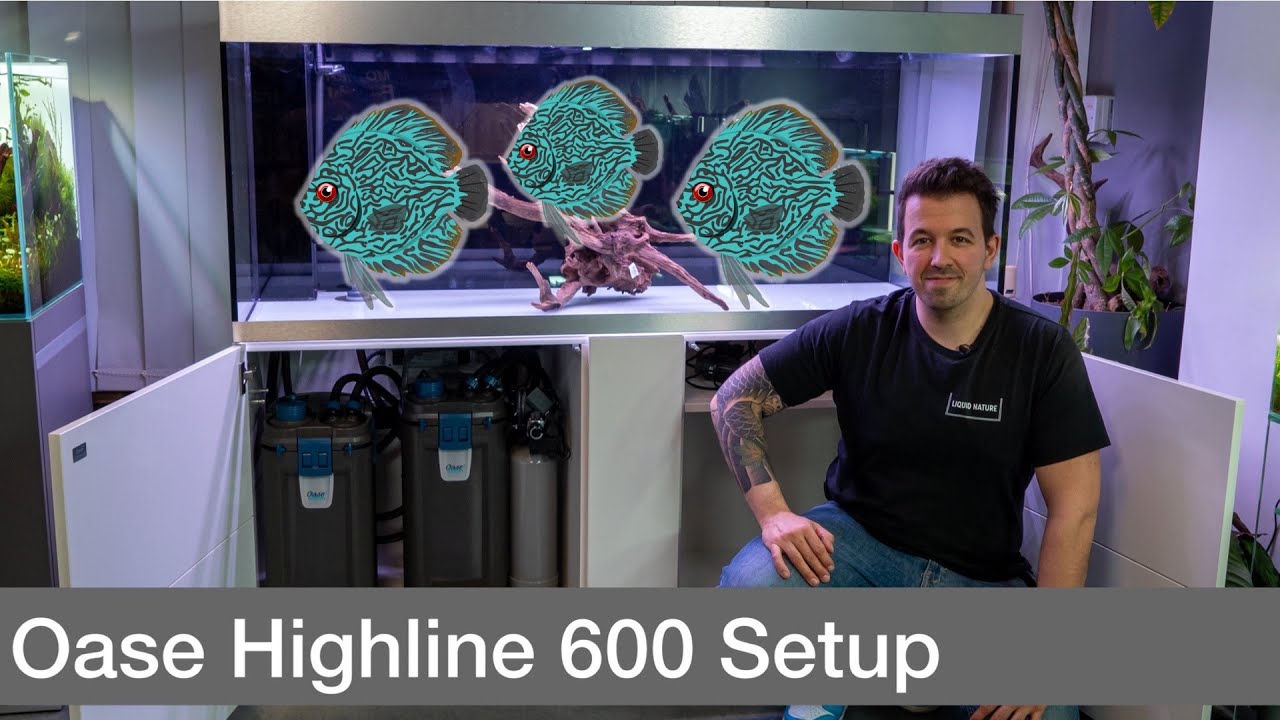 High-End 600L Diskus Aquascape! Oase Highline 600 OptiWhite Setup! | Liquid Nature